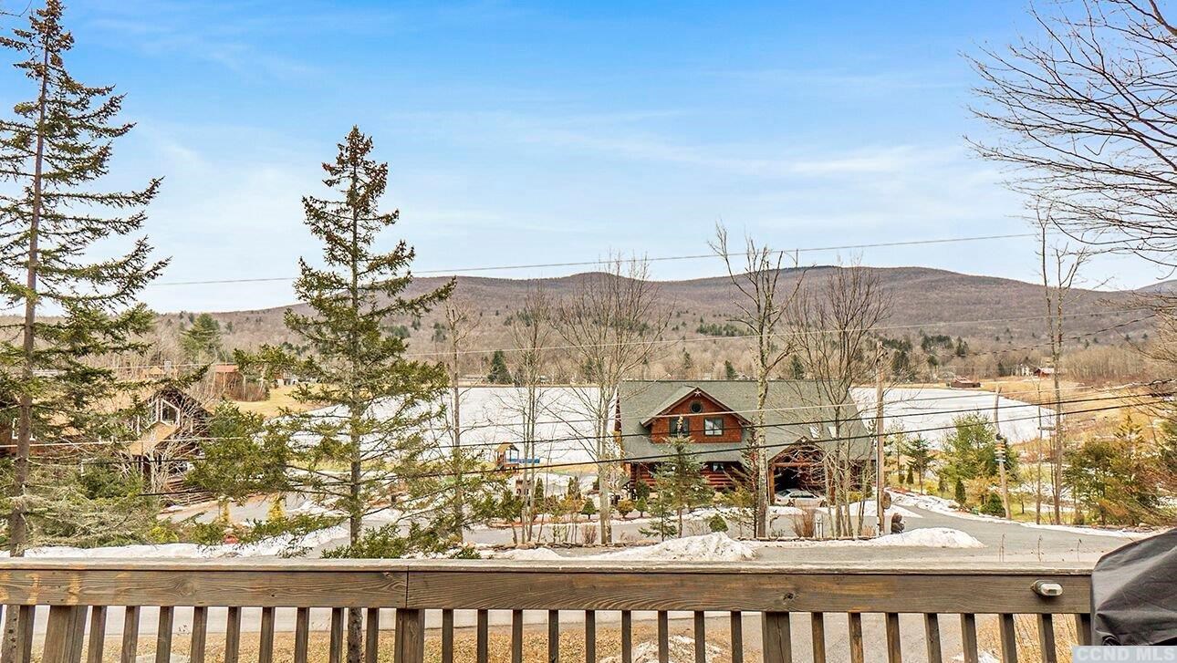 195 Pine Lane, Hunter, NY 12442