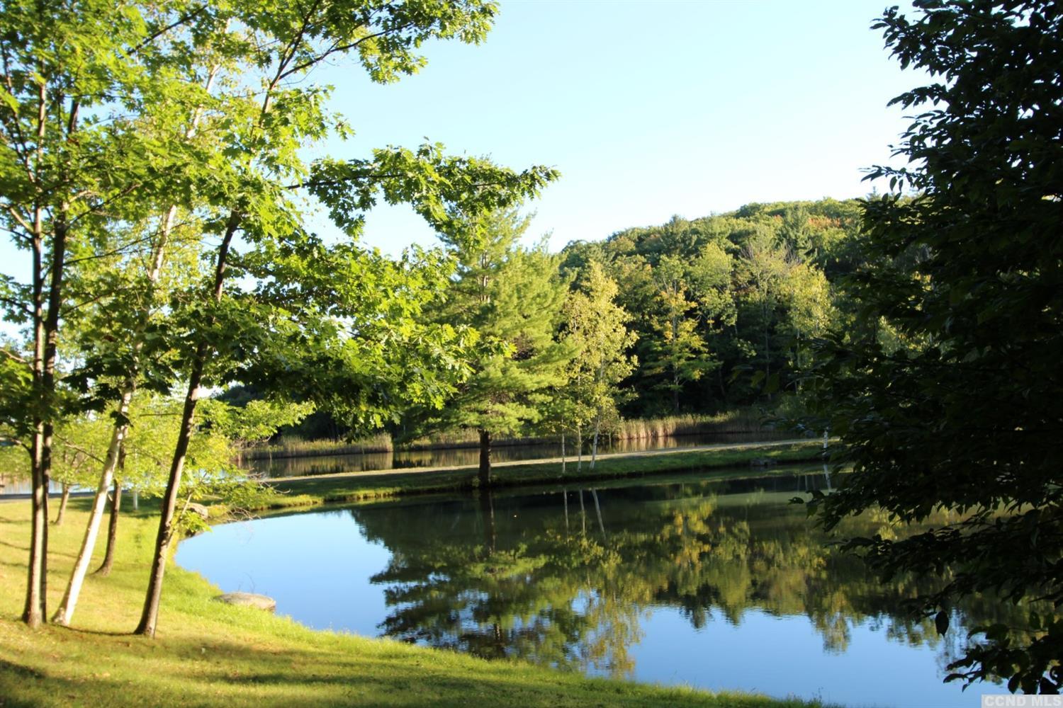 270 Harrington Drive, Austerlitz, NY 12017