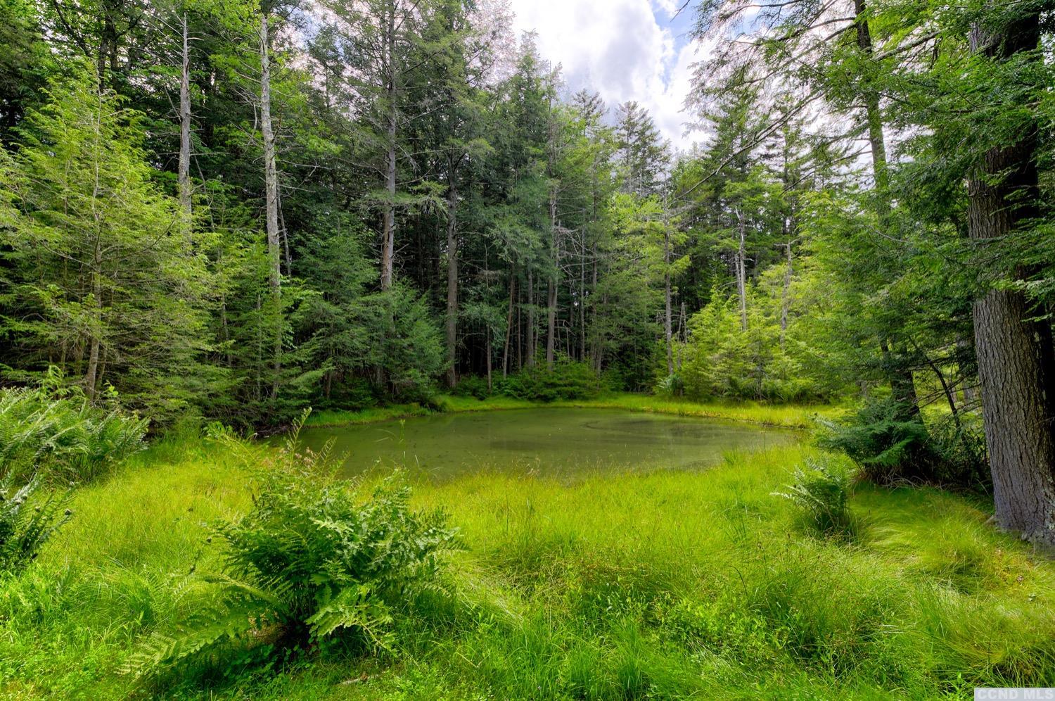 263 Ford Hill Road, Hunter, NY 12442