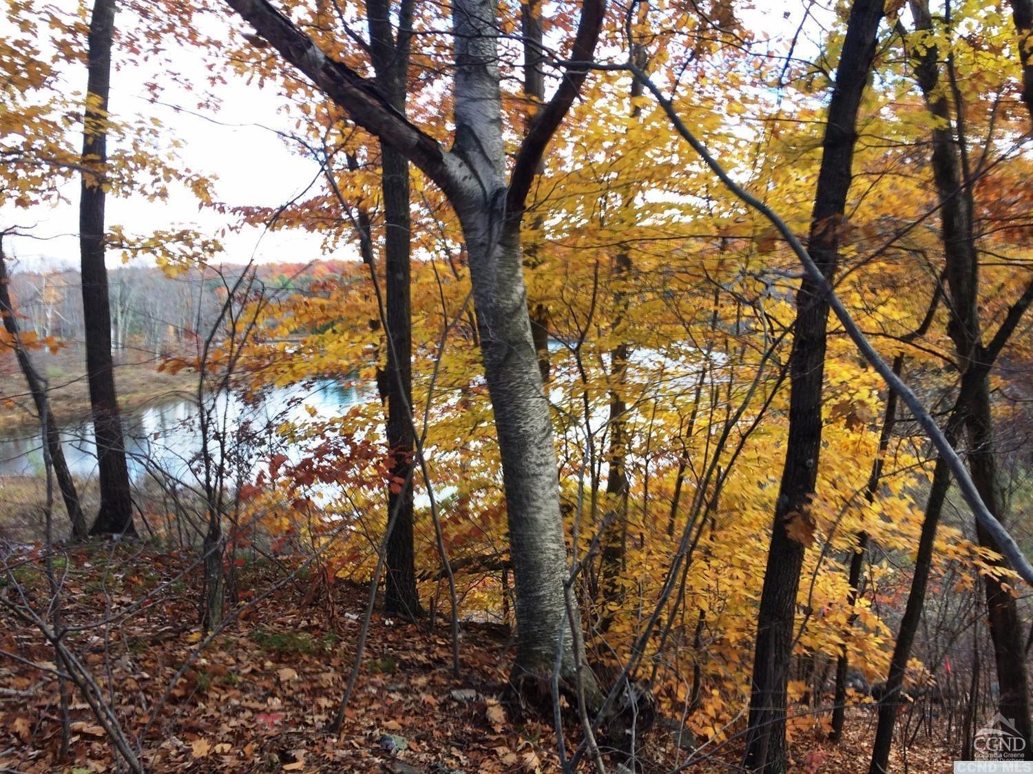 Copake NY Real Estate Berkshire Property Agents