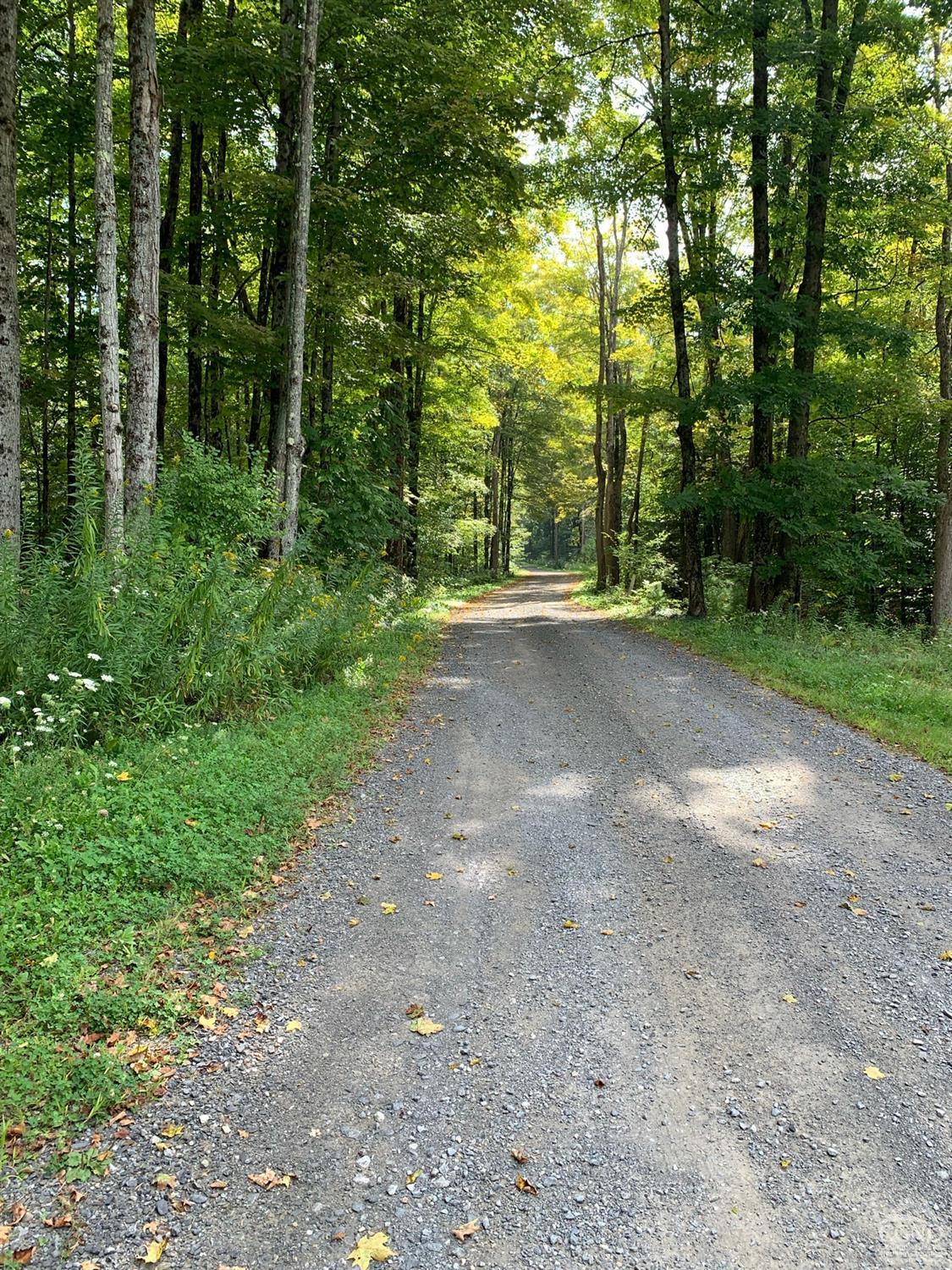 97 Harvey Mountain Road, Austerlitz, NY 12027