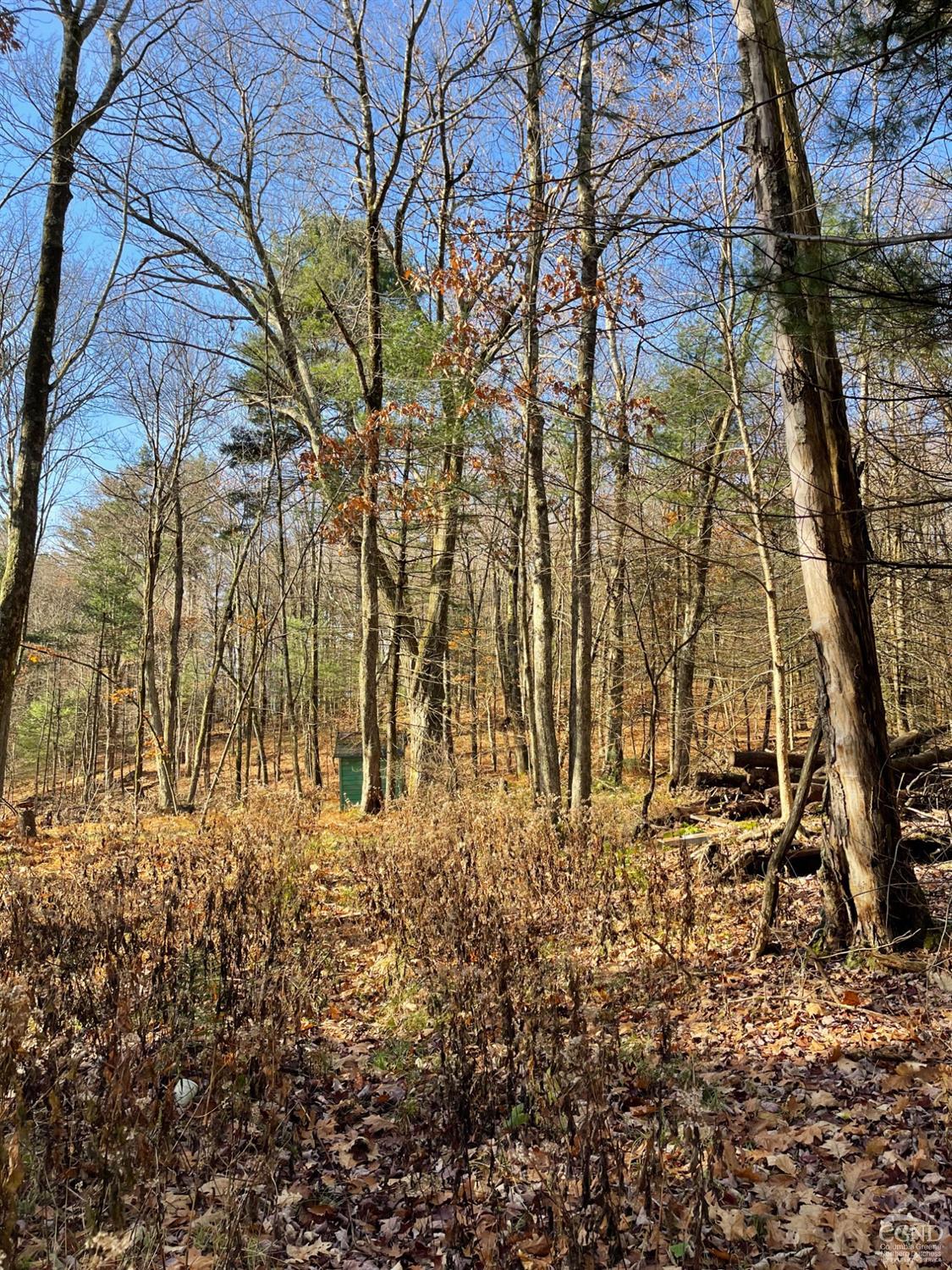 For Sale 0 Fog Hill Rd., Austerlitz, NY 12017 4.87 Acres 75,000